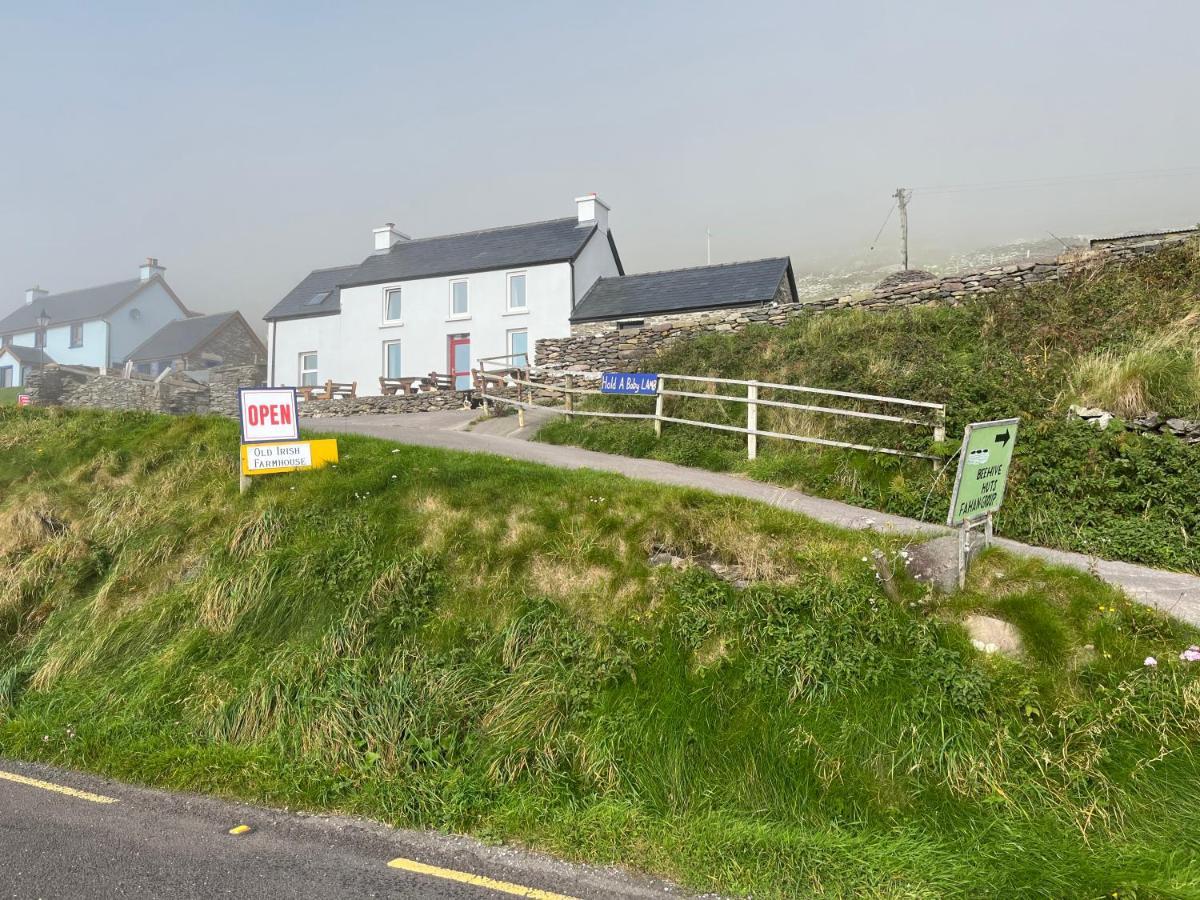 Old Irish Farmhouse Dingle Esterno foto