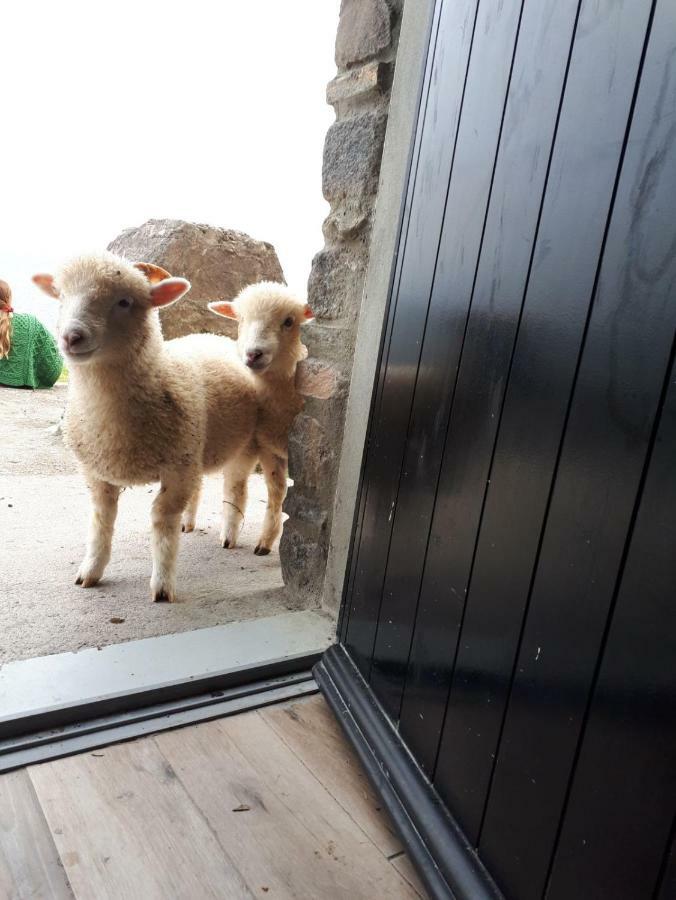 Old Irish Farmhouse Dingle Esterno foto